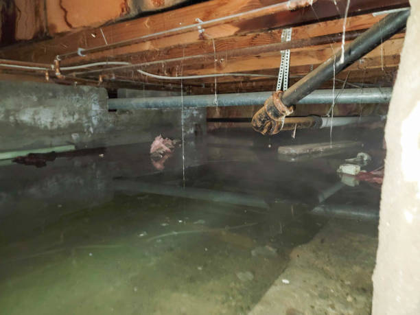 Best Water damage contractors near me  in Washburn, WI