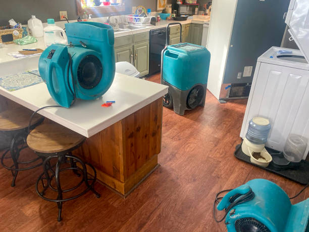 Best Water damage cleanup near me  in Washburn, WI