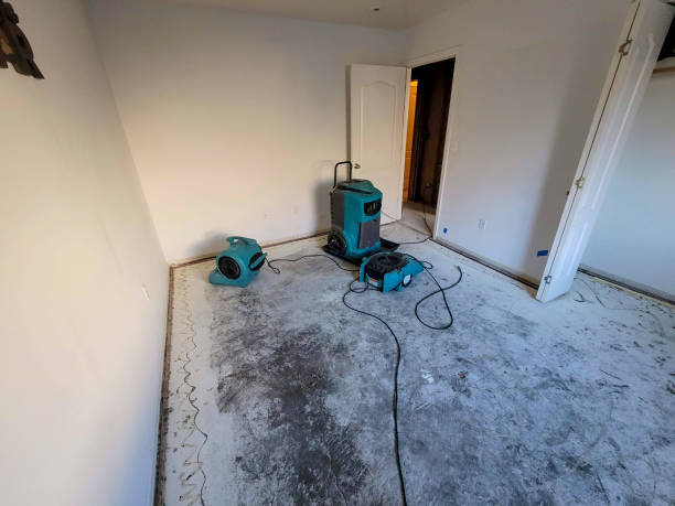 Best Commercial water damage restoration  in Washburn, WI