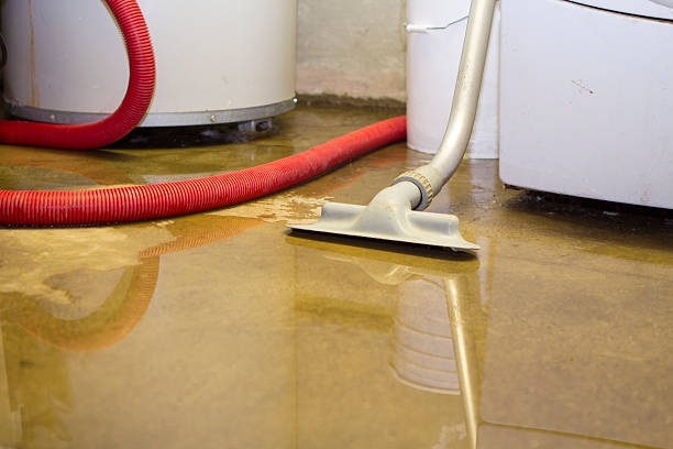 Best Flood restoration services  in Washburn, WI